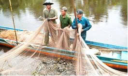 TĂNG CƯỜNG BẢO VỆ VÀ PHÁT TRIỂN NGUỒN LỢI THỦY SẢN TRÊN ĐỊA BÀN XÃ BÌNH BINH- Ảnh 2.