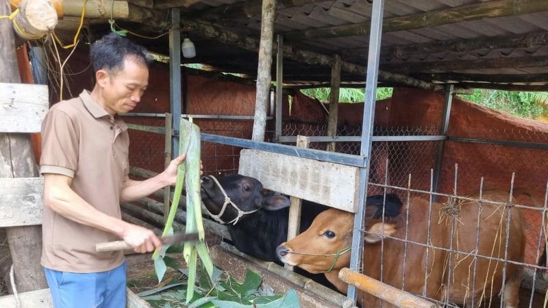 Sơn La chủ động 