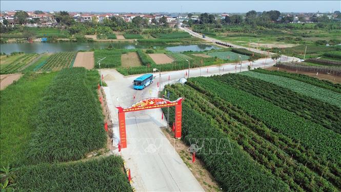 Minh Châu tập trung tuyên truyền trước ngày hội lớn- Ảnh 9.