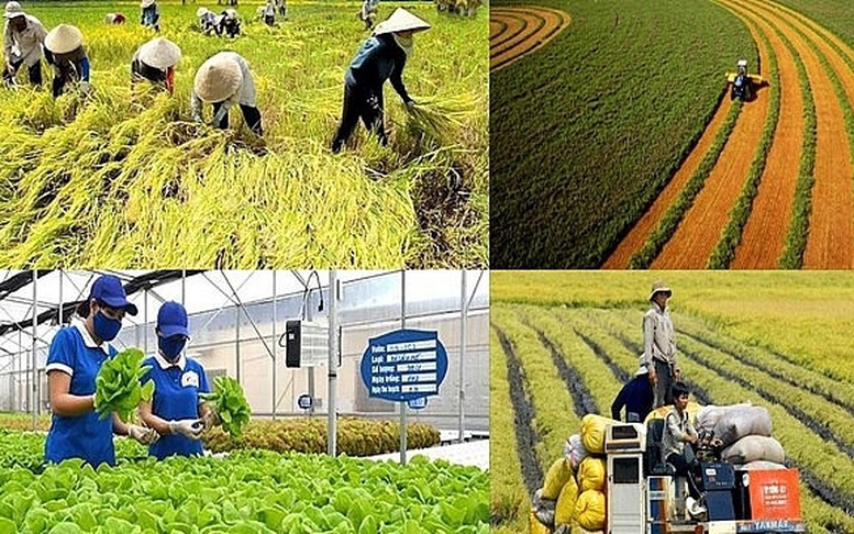 Chính sách mới có hiệu lực từ tháng 4/2026- Ảnh 5.