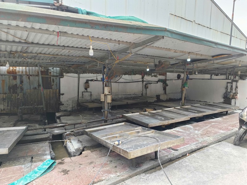 Hành trình triệt phá dường dây giết mổ, tiêu thụ 300 tấn thịt lợn nhiễm dịch tả châu Phi- Ảnh 3.