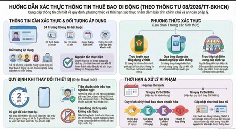 CHUNG TAY ĐẨY LÙI SIM RÁC: PHƯỜNG HOÀNG MAI PHỐI HỢP XÁC THỰC THÔNG TIN THUÊ BAO DI ĐỘNG CHÍNH CHỦ- Ảnh 1.