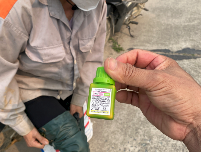 XÃ TRẦN PHÚ CHỦ ĐỘNG CHĂM SÓC VÀ PHÒNG TRỪ SÂU BỆNH BẢO VỆ SẢN XUẤT LÚA XUÂN- Ảnh 5.