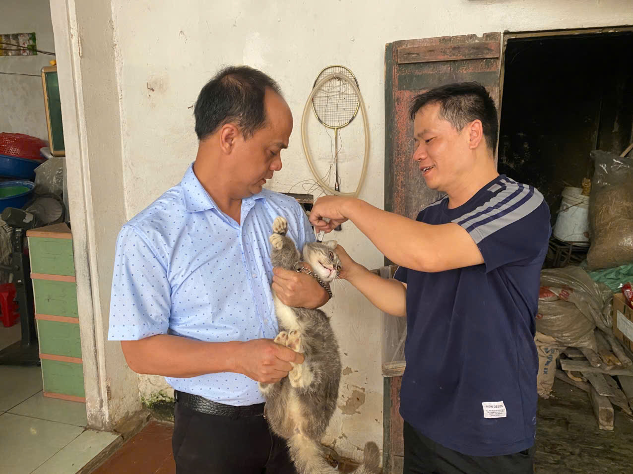 Chủ động phòng chống dịch bệnh: Hoài Đức triển khai tiêm phòng đợt 1 cho đàn gia súc, gia cầm và vật nuôi- Ảnh 1.