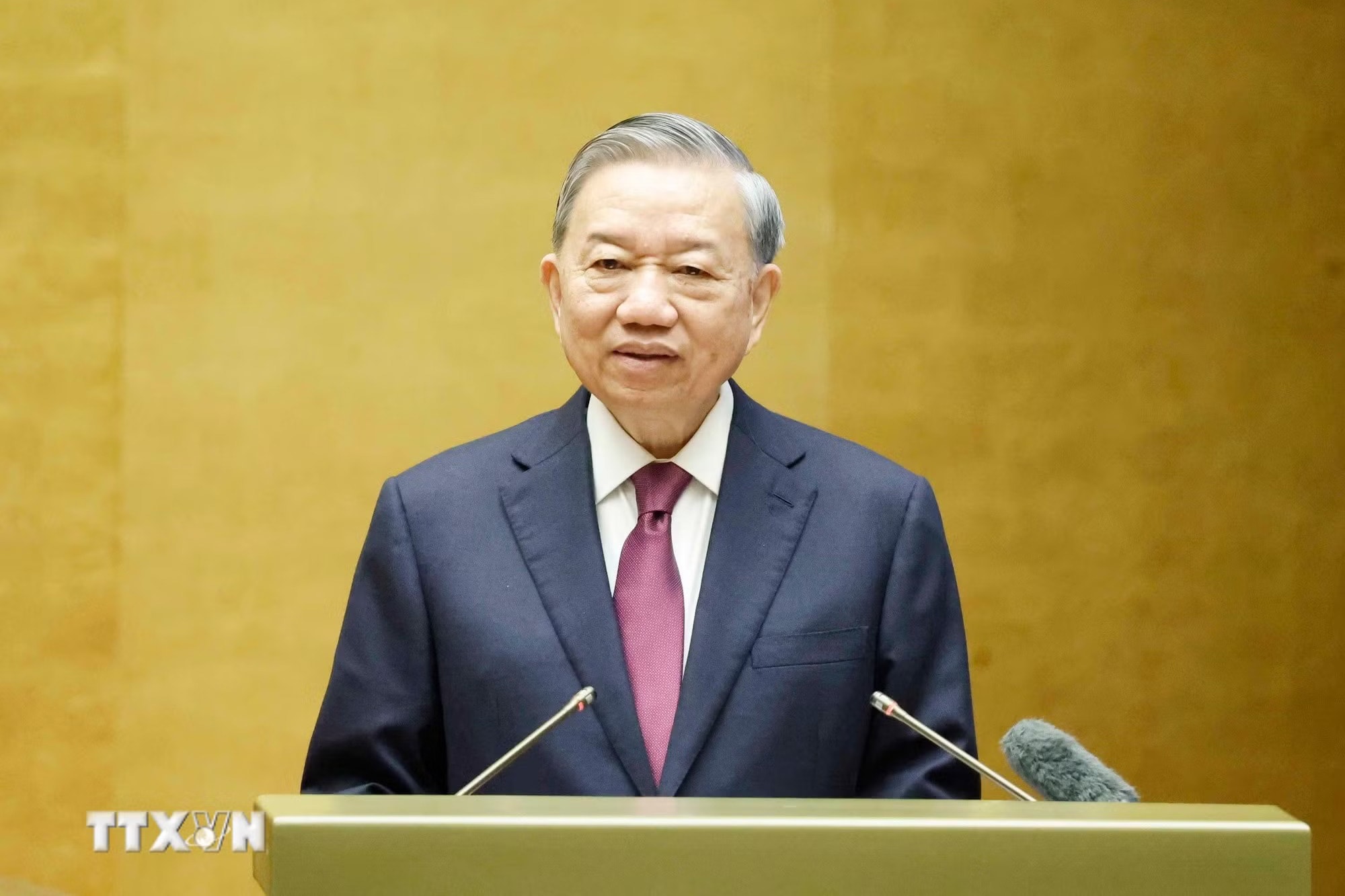 Tổng Bí thư, Chủ tịch nước Tô Lâm: Khát vọng phát triển sẽ được chuyển hóa thành sức mạnh thực tế- Ảnh 1.