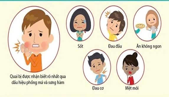 Các biện pháp phòng, chống bệnh quai bị- Ảnh 1.