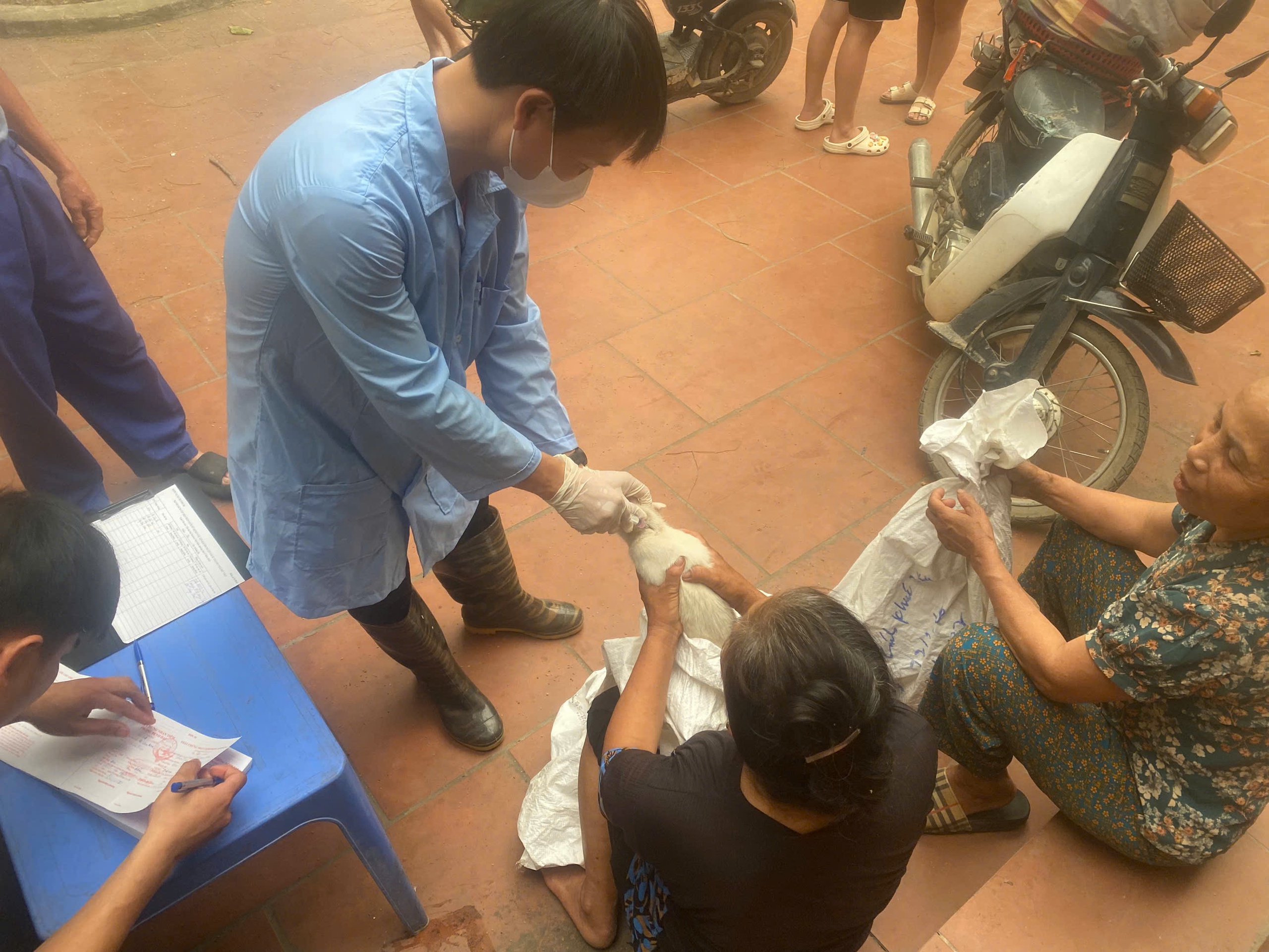 Từ ngày 12/4 xã Quảng Bị bắt đầu tiêm phòng vắc xin cho đàn gia súc, gia cầm đợt 1 năm 2026- Ảnh 4.