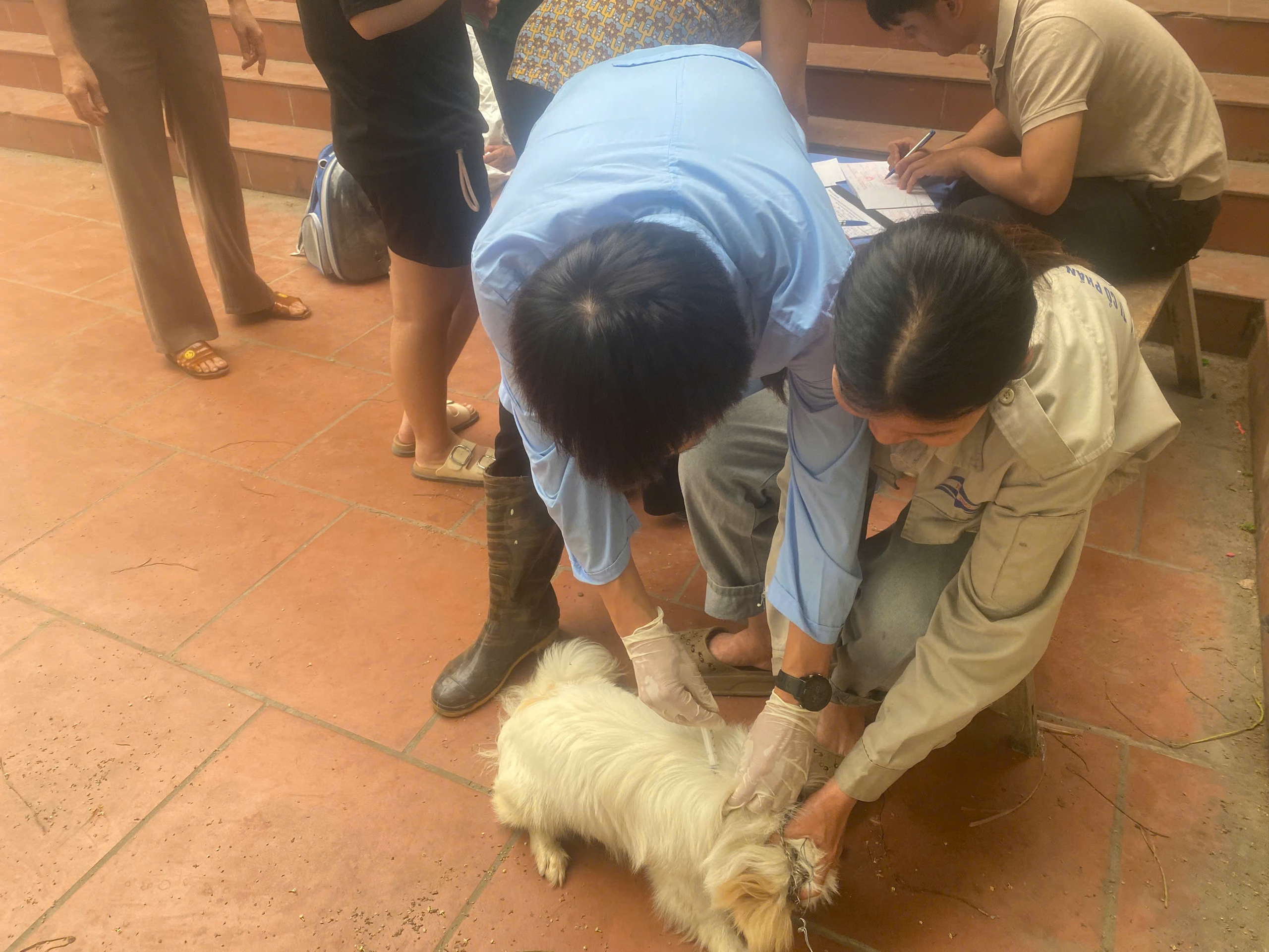 Từ ngày 12/4 xã Quảng Bị bắt đầu tiêm phòng vắc xin cho đàn gia súc, gia cầm đợt 1 năm 2026- Ảnh 5.