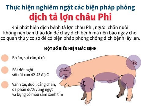 TUYÊN TRUYỀN BỆNH DỊCH TẢ LỢN CHÂU PHI- Ảnh 1.