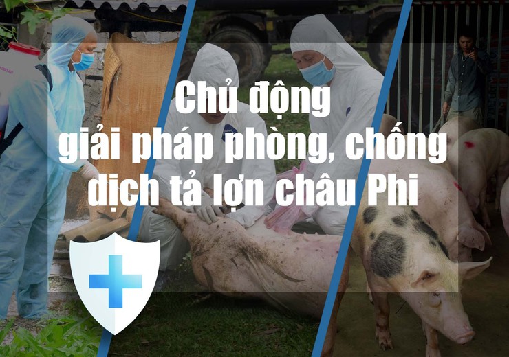 Xã Chương Dương tăng cường các biện pháp phòng, 
chống bệnh dịch tả lợn châu Phi
- Ảnh 1.