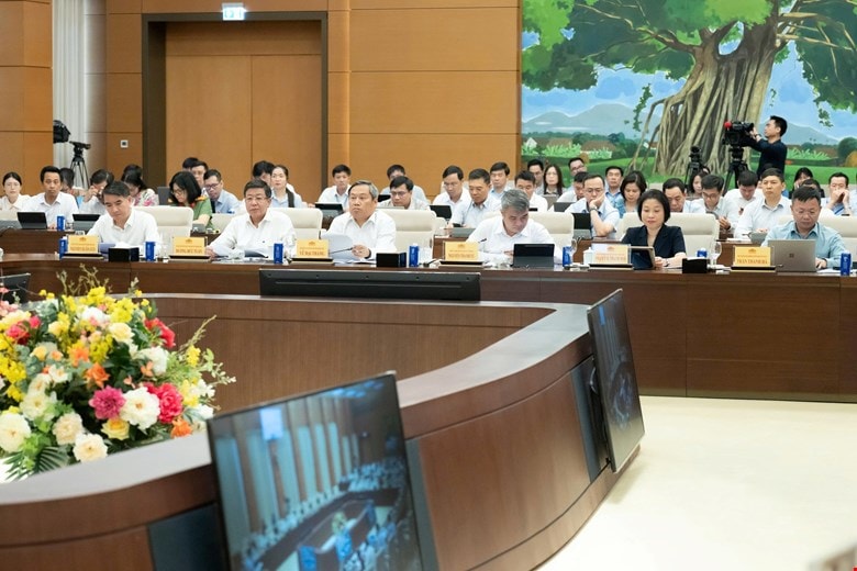 Hoàn thiện dự thảo Luật Thủ đô (sửa đổi) theo hướng phân cấp mạnh, kiểm soát chặt- Ảnh 2.