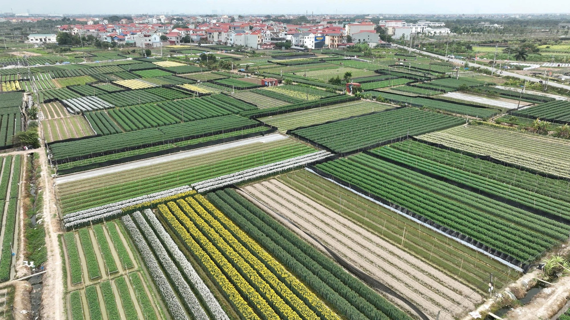 Đánh thức nguồn lực đất đai, mở không gian phát triển cho Thủ đô- Ảnh 2.