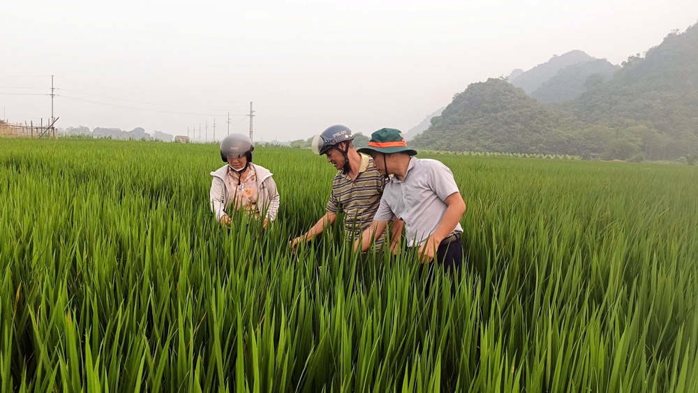 C:\Users\Admin\Desktop\1 m.jpg