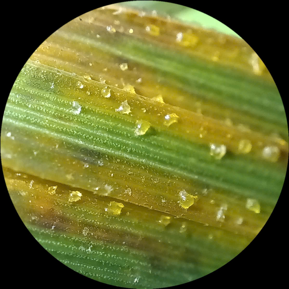 C:\Users\Admin\Desktop\2 m.jpg