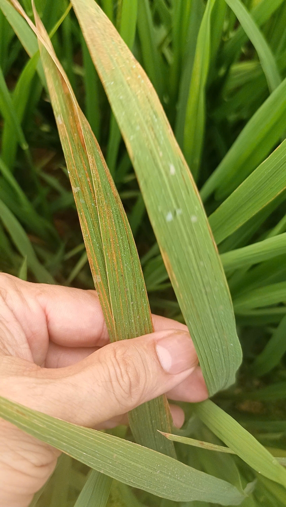 C:\Users\Admin\Desktop\3 m.jpg