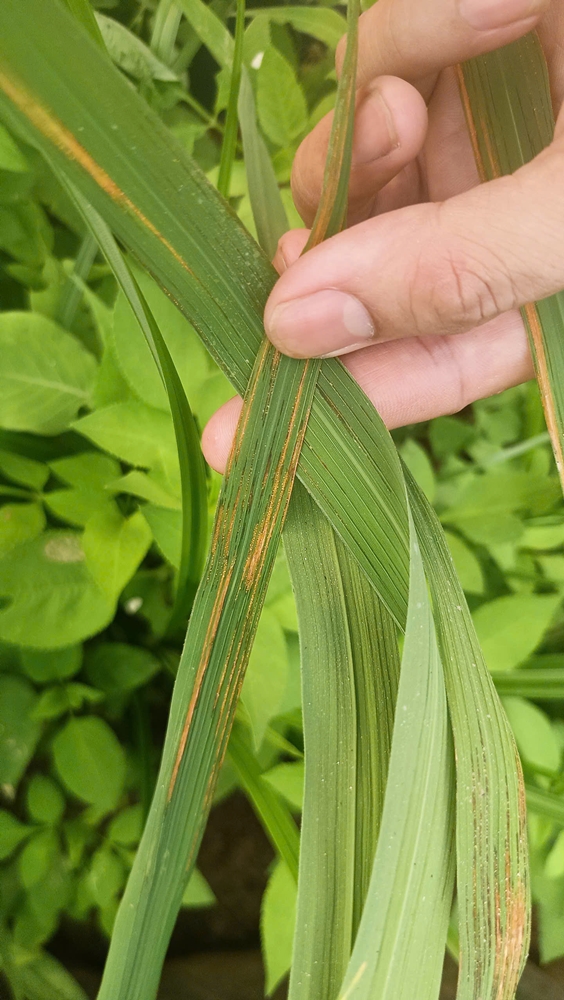 C:\Users\Admin\Desktop\4 m.jpg