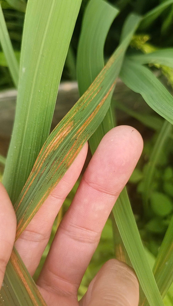 C:\Users\Admin\Desktop\5 m.jpg