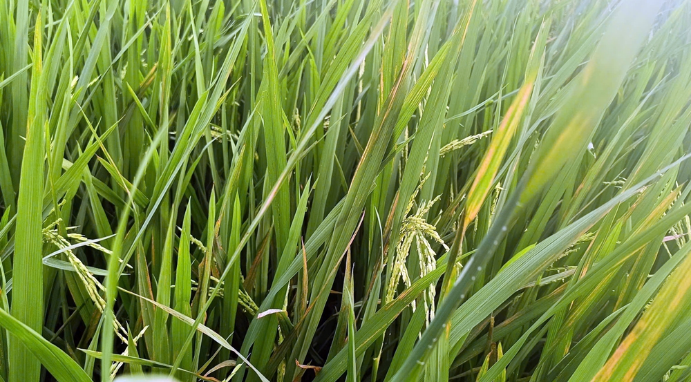 C:\Users\Admin\Desktop\6 m.jpg