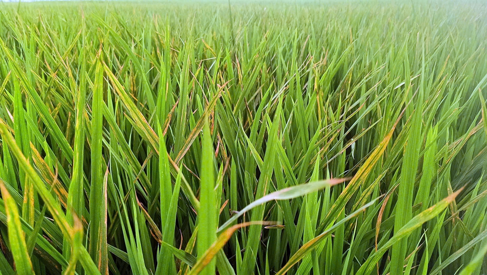 C:\Users\Admin\Desktop\7 m.jpg