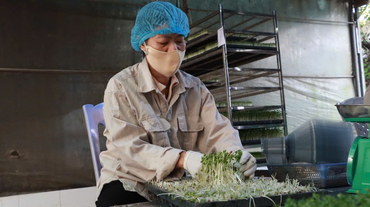 Hà Nội siết quản lý an toàn thực phẩm bằng công nghệ số- Ảnh 2.