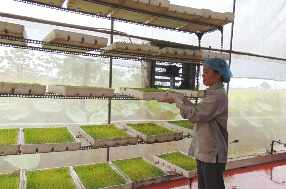 Hà Nội siết quản lý an toàn thực phẩm bằng công nghệ số- Ảnh 4.