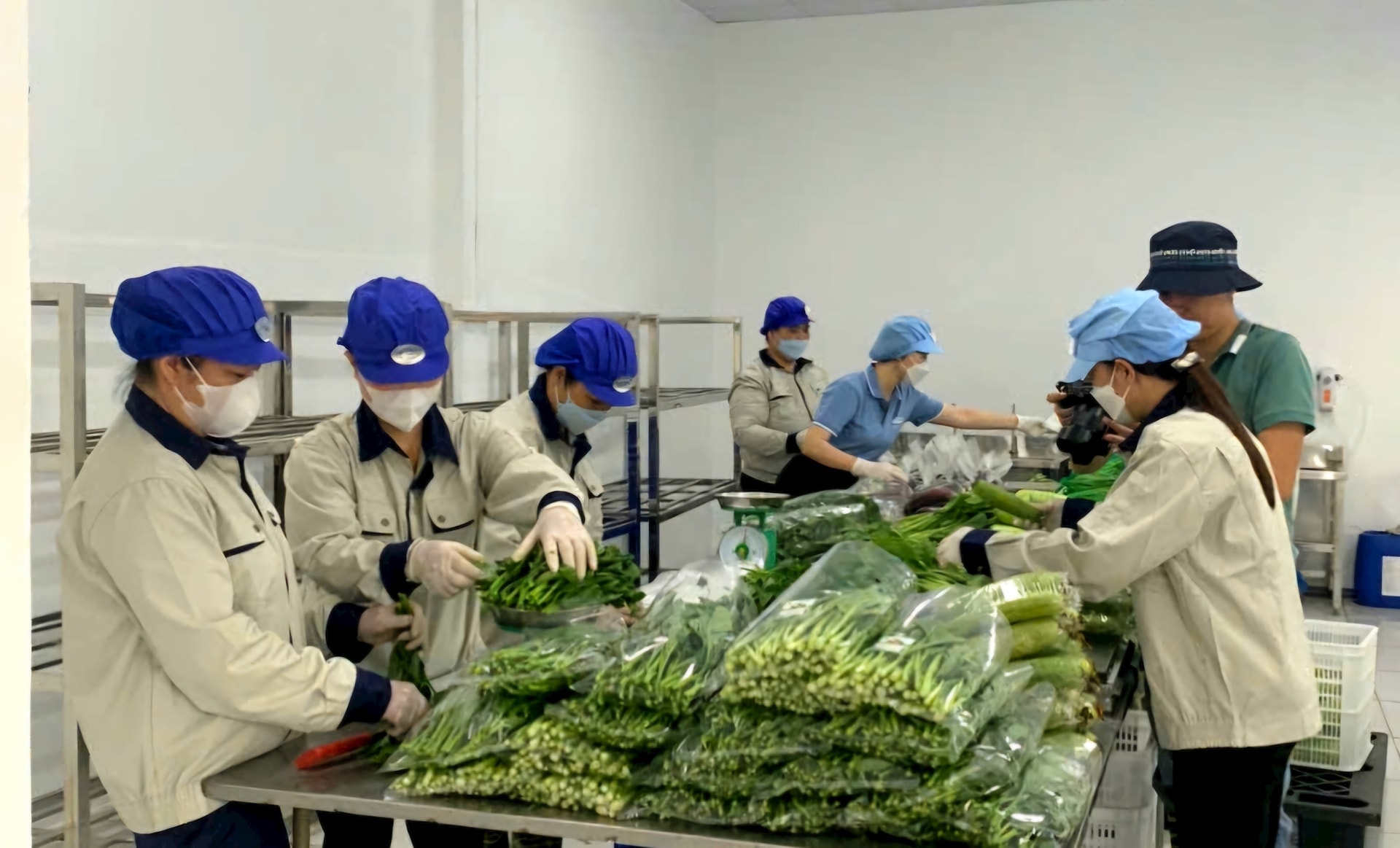 Hà Nội siết quản lý an toàn thực phẩm bằng công nghệ số- Ảnh 3.