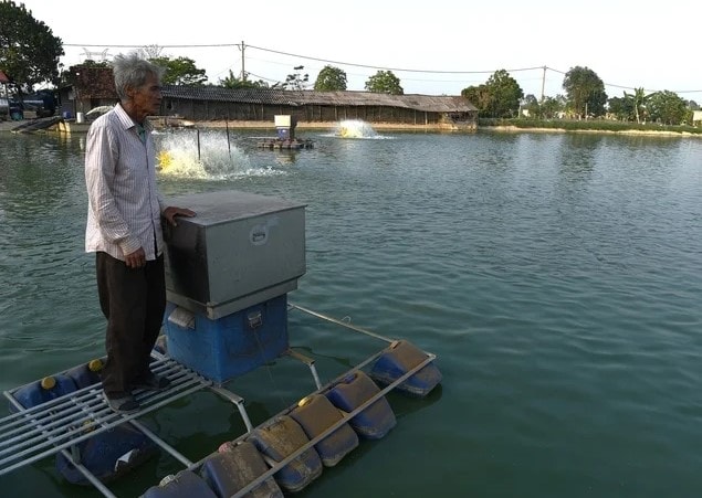 Ứng Hòa phát triển nông nghiệp đa giá trị bền vững- Ảnh 5.