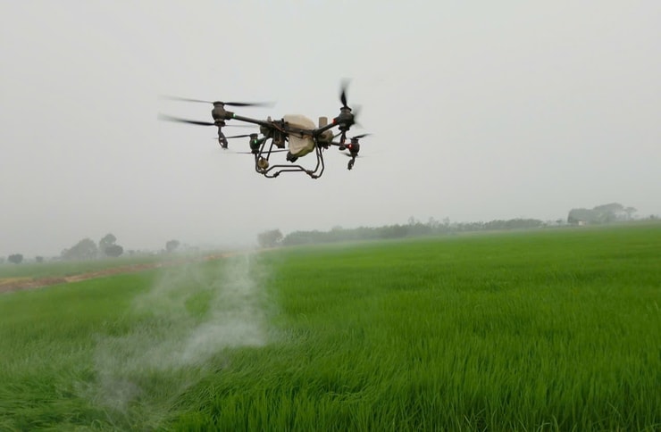 Ứng Hòa phát triển nông nghiệp đa giá trị bền vững- Ảnh 1.