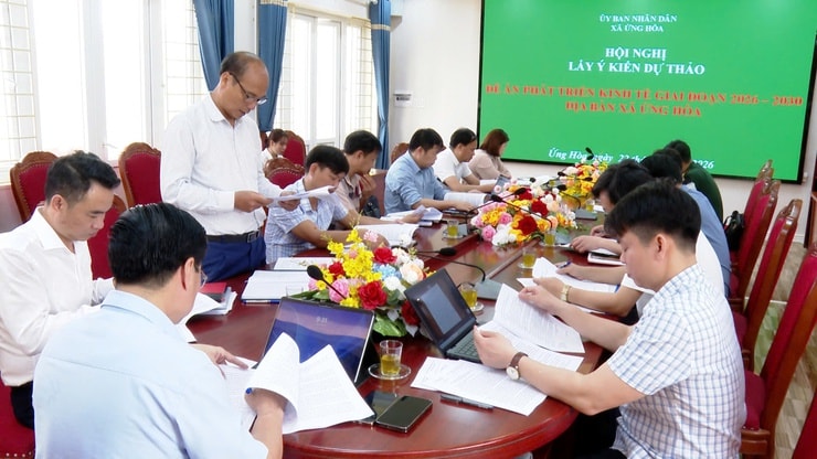 Ứng Hòa phát triển nông nghiệp đa giá trị bền vững- Ảnh 4.