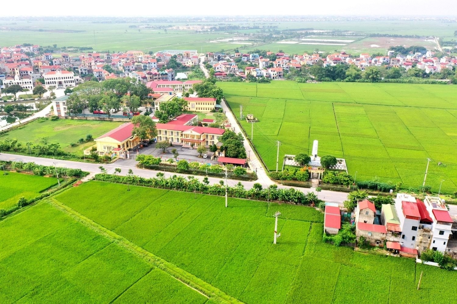 Ứng Hòa phát triển nông nghiệp đa giá trị bền vững- Ảnh 6.