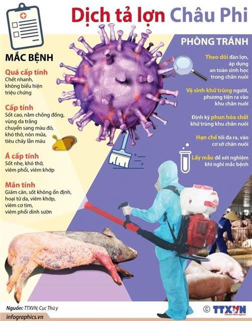 TRUNG TÂM DỊCH VỤ TỔNG HỢP XÃ HƯNG ĐẠO THÔNG BÁO VỀ VIỆC CHỦ ĐỘNG PHÒNG, CHỐNG DỊCH TẢ LỢN CHÂU PHI- Ảnh 1.