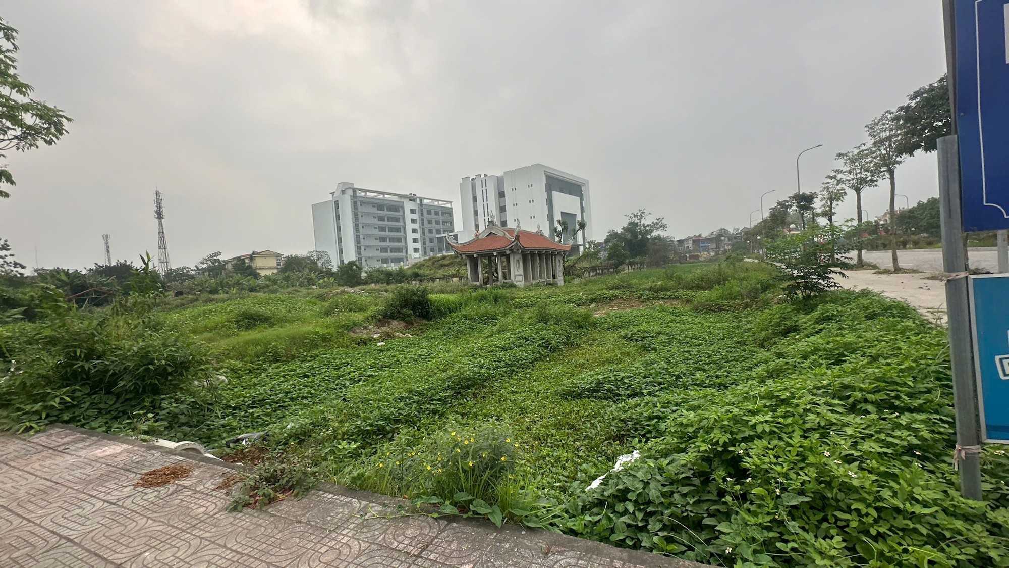 Thường Tín sẽ cưỡng chế thu hồi đất của 22 gia đình xây dựng Vườn hoa Nguyễn Du- Ảnh 3.