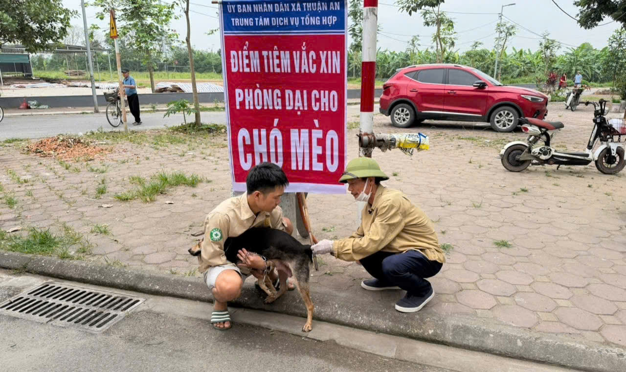 Ảnh có chứa văn bản, ngoài trời, bánh xe, giày dép  Nội dung do AI tạo ra có thể không chính xác.