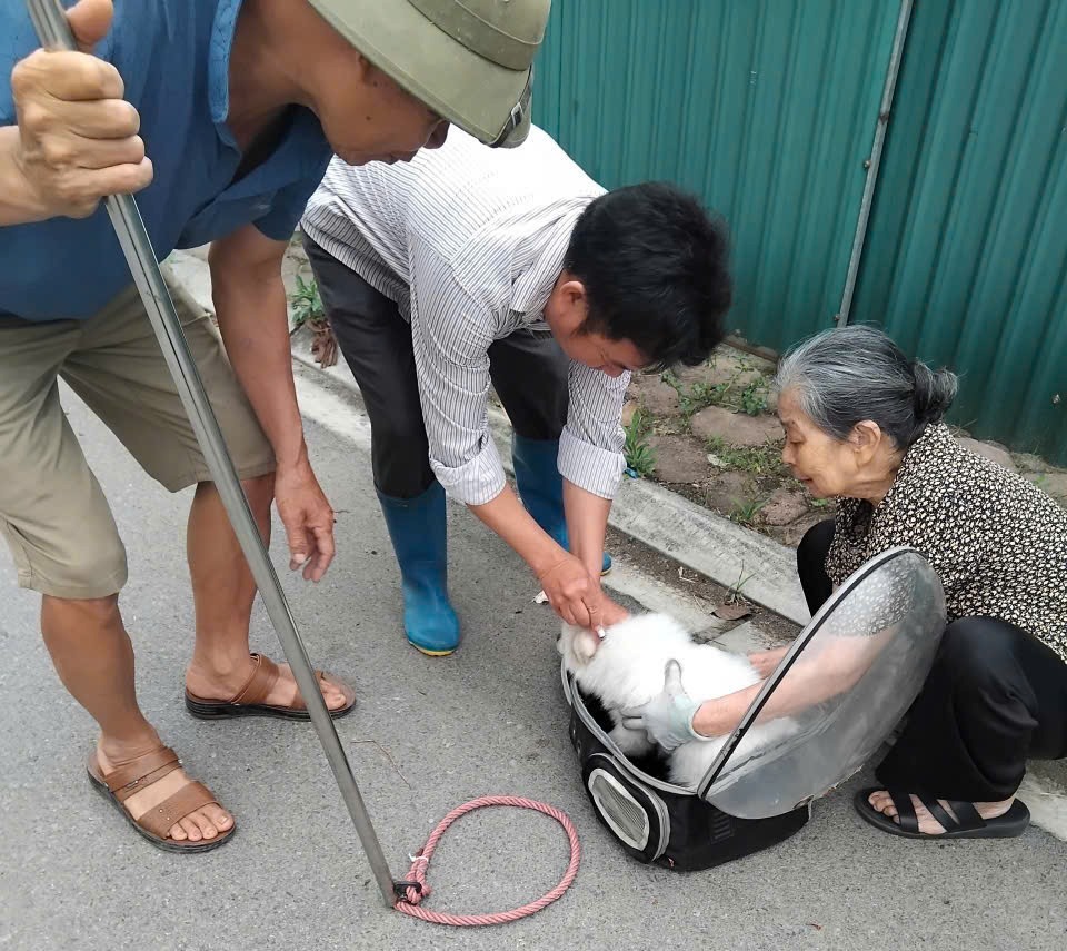 Ảnh có chứa người, trang phục, giày dép, mặt đất  Nội dung do AI tạo ra có thể không chính xác.