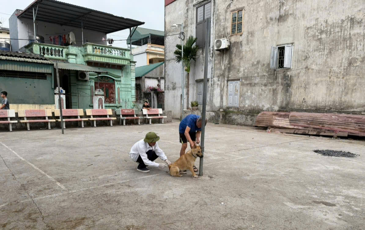 Ảnh có chứa ngoài trời, mặt đất, tòa nhà, trang phục  Nội dung do AI tạo ra có thể không chính xác.