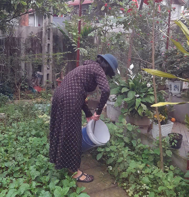 Xã Trần Phú ra quân tổng vệ sinh môi trường, diệt bọ gậy phòng chống dịch sốt xuất huyết - Ảnh 2.