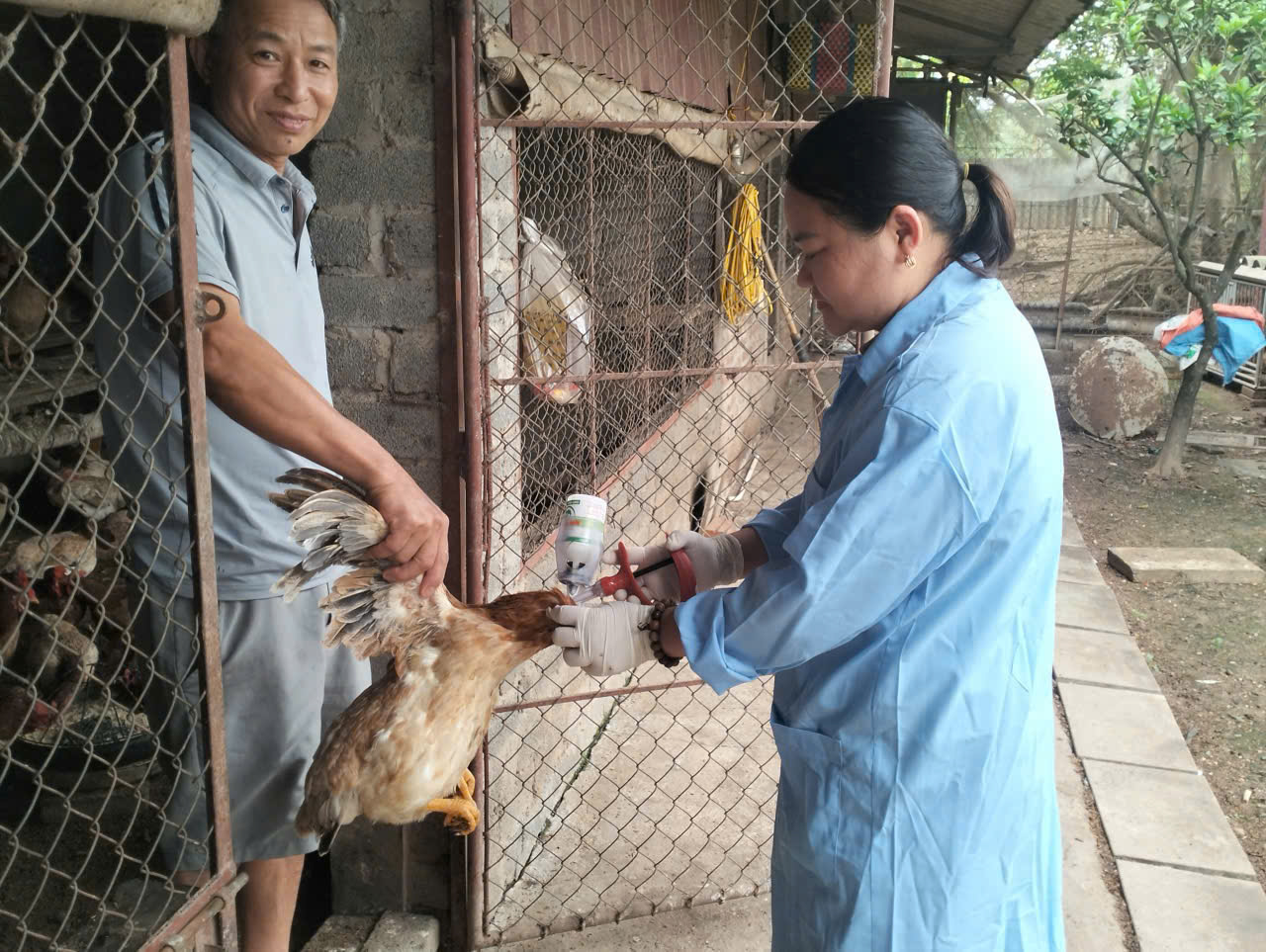 Xã Gia Lâm triển khai đồng bộ công tác tiêm phòng vắc xin cho đàn chó mèo, gia súc, gia cầm đợt 1 năm 2026- Ảnh 1.