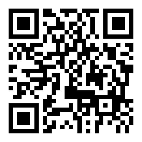 Khai mạc Lễ hội truyền thống Đình làng Hữu Văn năm 2026- Ảnh 11.