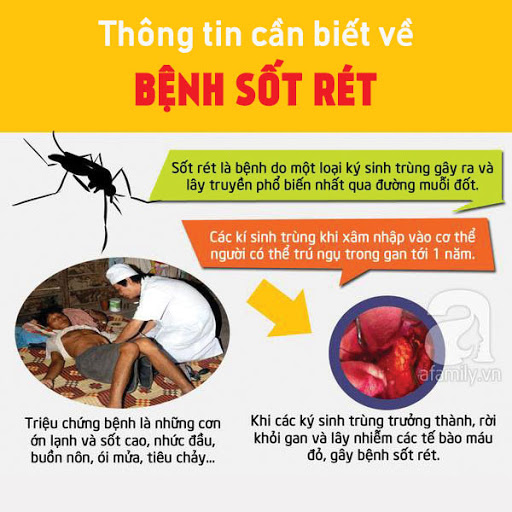 HƯỞNG ỨNG NGÀY THẾ GIỚI PHÒNG, CHỐNG SỐT RÉT 25/4/2026- Ảnh 1.
