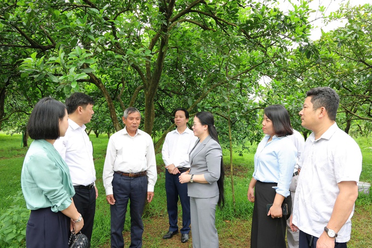 Các tổ chức chính trị - xã hội xã Phú Nghĩa thực hiện hiệu quả các nhiệm vụ chính trị của địa phương- Ảnh 4.