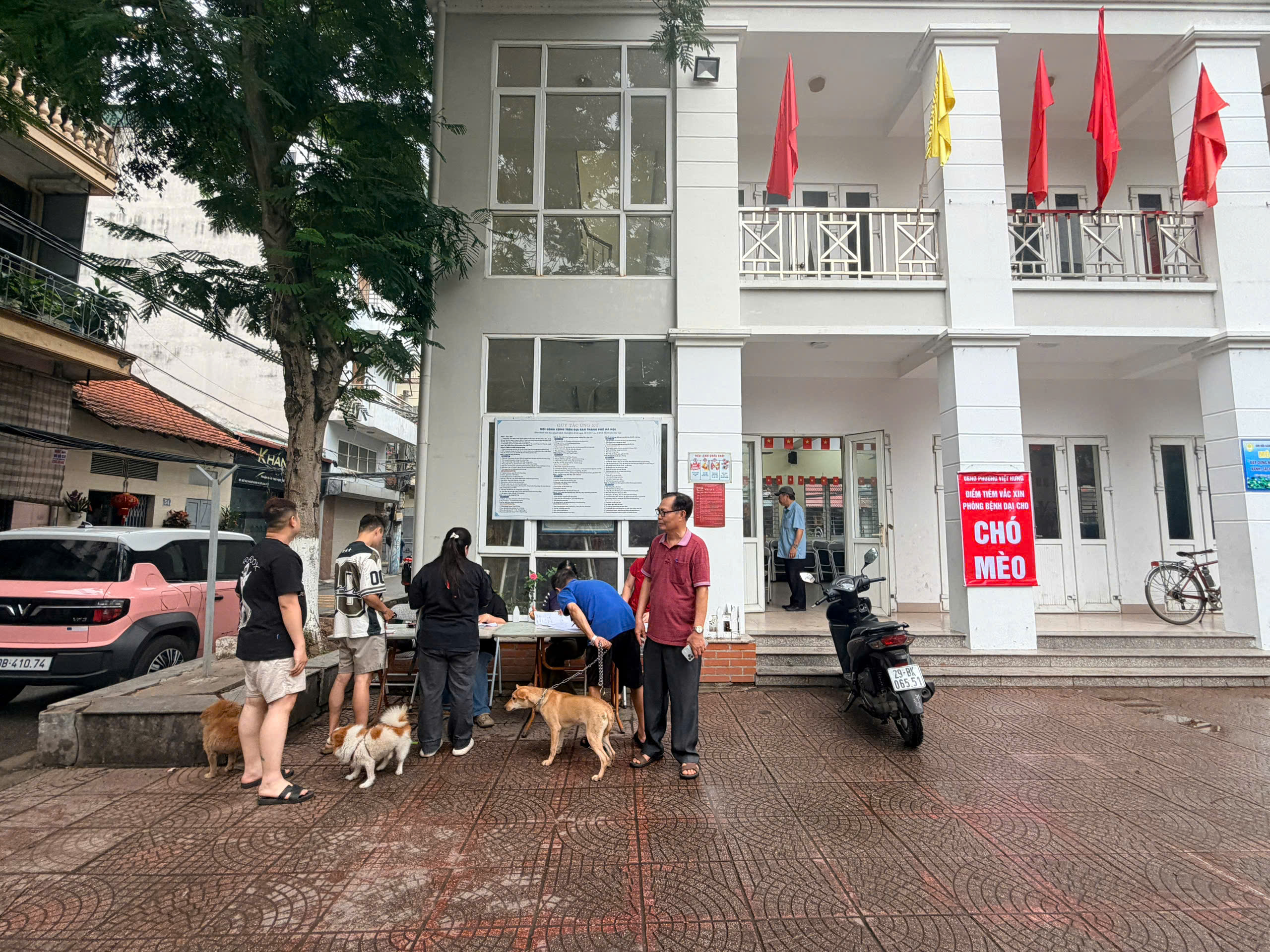 UBND phường Việt Hưng tổ chức tiêm phòng Dại cho đàn chó, mèo đợt 1 năm 2026 trên toàn địa bàn phường.- Ảnh 1.