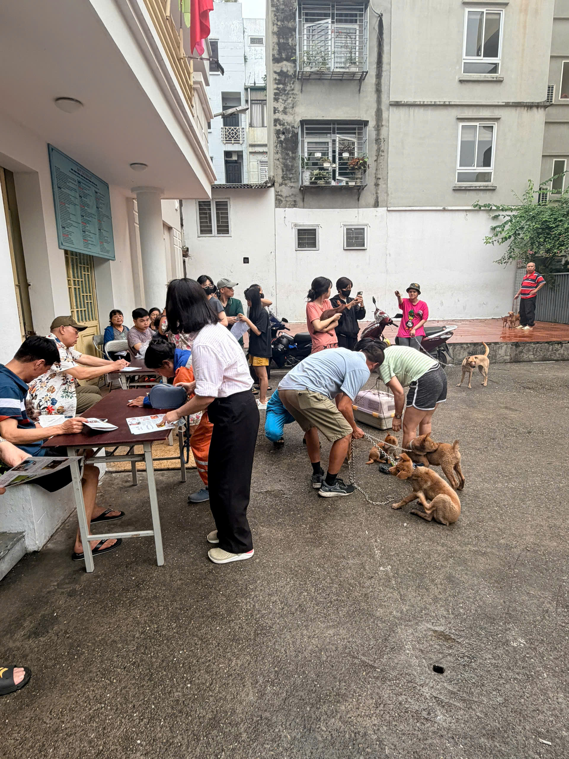 UBND phường Việt Hưng tổ chức tiêm phòng Dại cho đàn chó, mèo đợt 1 năm 2026 trên toàn địa bàn phường.- Ảnh 4.