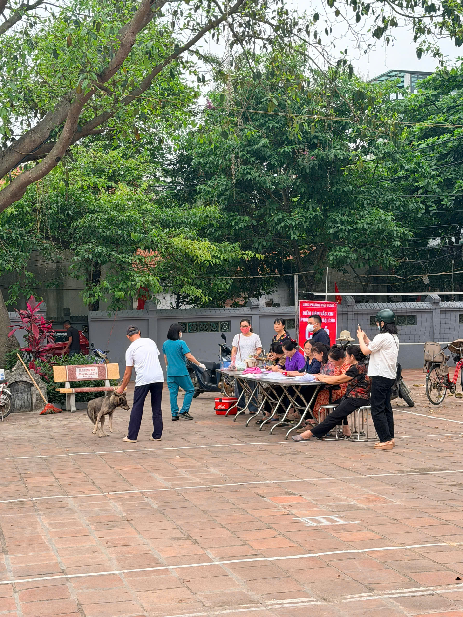 UBND phường Việt Hưng tổ chức tiêm phòng Dại cho đàn chó, mèo đợt 1 năm 2026 trên toàn địa bàn phường.- Ảnh 8.