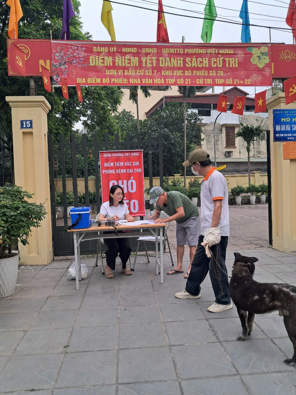 UBND phường Việt Hưng tổ chức tiêm phòng Dại cho đàn chó, mèo đợt 1 năm 2026 trên toàn địa bàn phường.- Ảnh 10.