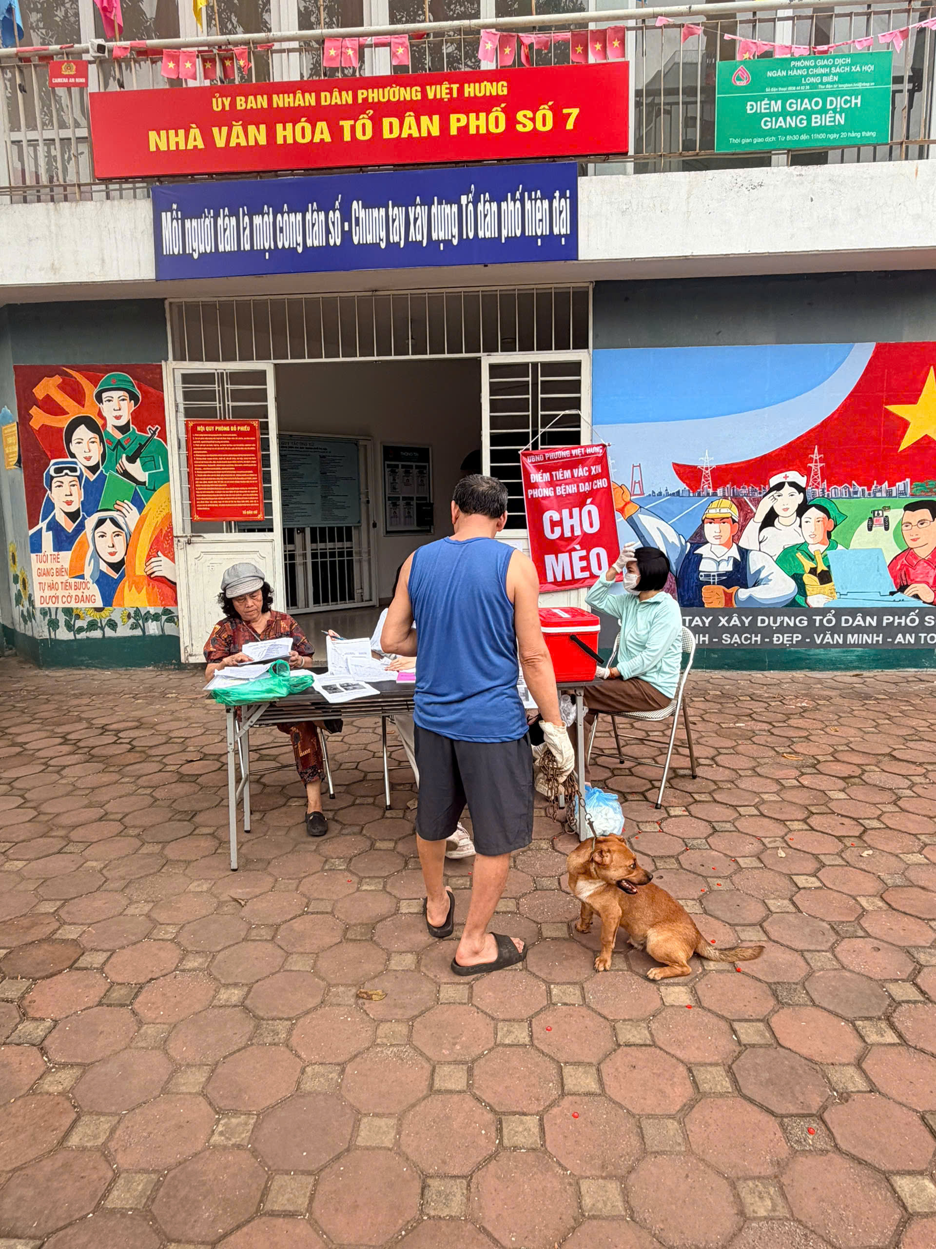 UBND phường Việt Hưng tổ chức tiêm phòng Dại cho đàn chó, mèo đợt 1 năm 2026 trên toàn địa bàn phường.- Ảnh 11.