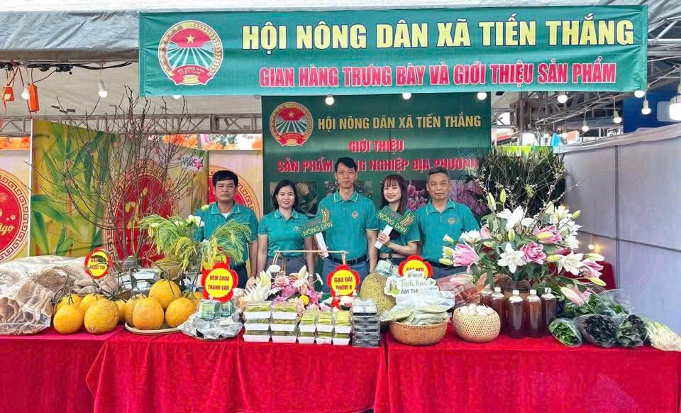 Nông dân xã Tiến Thắng đẩy mạnh sản xuất nông nghiệp an toàn, bền vững- Ảnh 1.