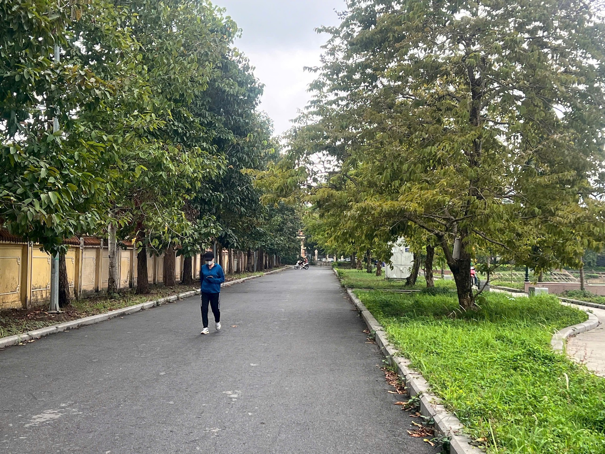 Đánh thức “lá phổi xanh” Mai Dịch: Từ ‘điểm đen’ xuống cấp đến bài toán giữ gìn không gian xanh- Ảnh 1.