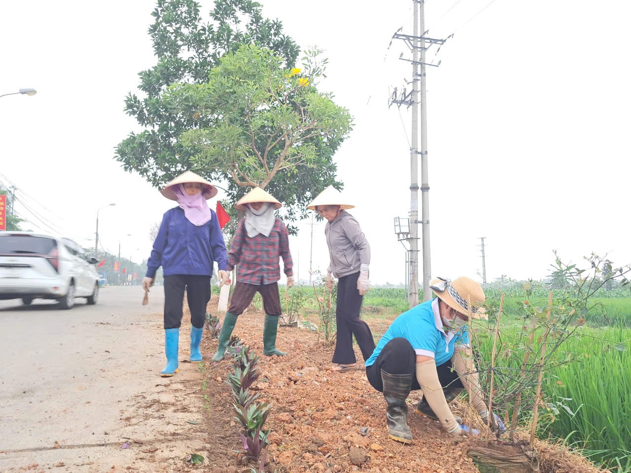 Phụ nữ xã Tiến Thắng nhân rộng mô hình "Đoạn đường nở hoa"- Ảnh 3.