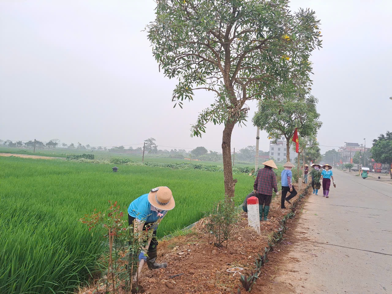 Phụ nữ xã Tiến Thắng nhân rộng mô hình "Đoạn đường nở hoa"- Ảnh 1.