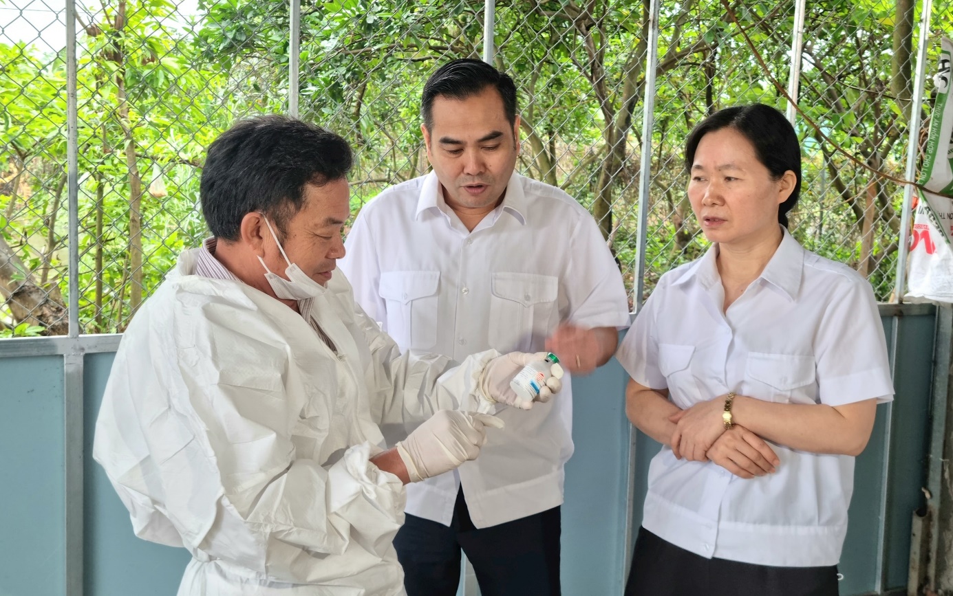 Xã Thuận An tập trung quyết liệt tiêm vắc xin phòng chống dịch bệnh cho đàn gia súc, gia cầm và tiêm phòng dại chó, mèo- Ảnh 1.